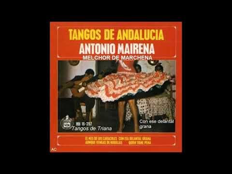La influencia flamenca en los tangos de Granada
