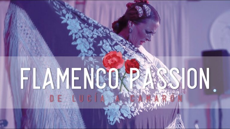 Detalles y matices del flamenco en fotograf&iacute;a