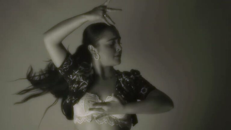 Fusi&oacute;n Emocional: Flamenco y Poes&iacute;a en Interpretaci&oacute;n