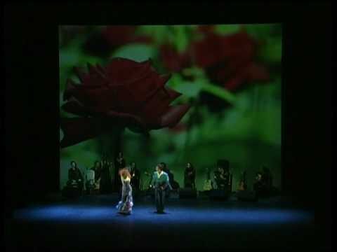 Emociones Capturadas en la Fotograf&iacute;a de Flamenco
