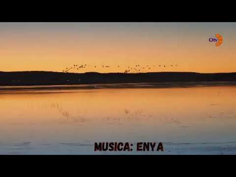 Capturando la esencia del flamenco en movimiento