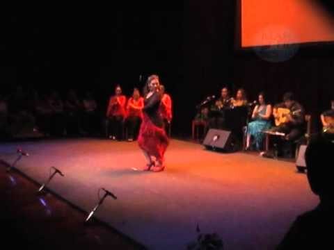 Transformación de la Experiencia Audiovisual en Conciertos de Flamenco