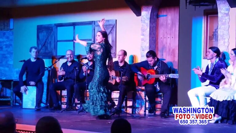 Sabor y Ritmo: La Fusi&oacute;n de M&uacute;sica Flamenca y Degustaci&oacute;n de Tapas
