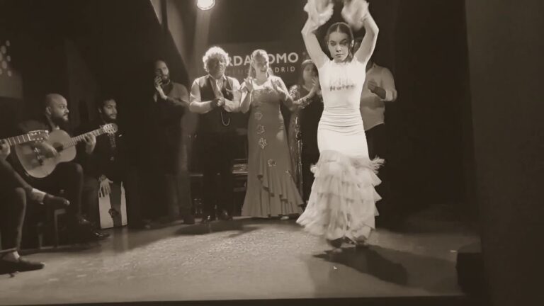 Autenticidad y Pasi&oacute;n: El Alma del Flamenco