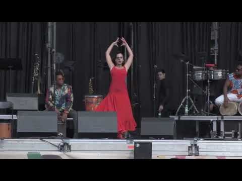 Vive la Pasi&oacute;n Gitana en el Flamenco