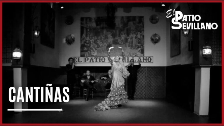 Pasi&oacute;n y Arte Flamenco en Eventos Exclusivos