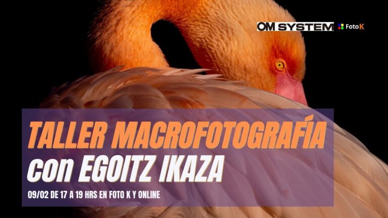Fotografía Creativa: La Magia del Flamenco y sus Colores