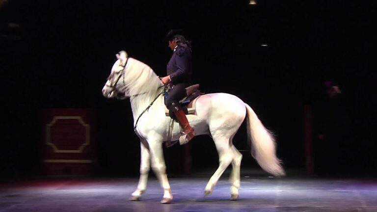 Vestidos de Flamenca: Inspiraci&oacute;n en la Cultura Espa&ntilde;ola