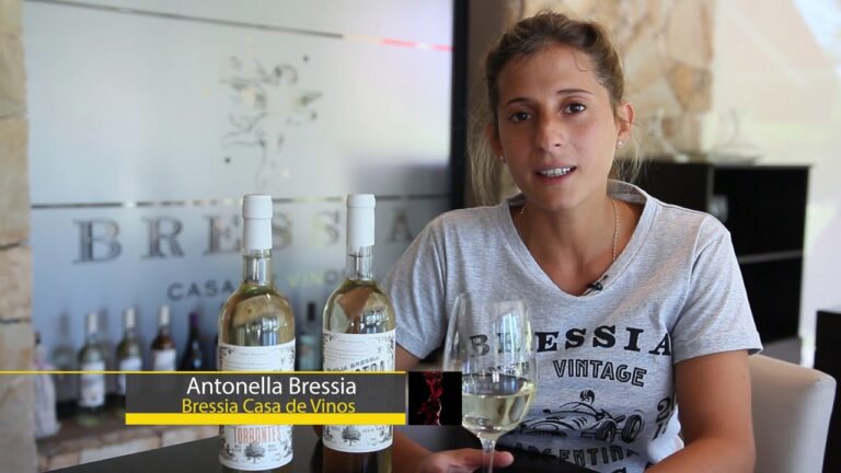 Pasi&oacute;n Flamenca y Sabores Gastron&oacute;micos: Una Experiencia Cultural