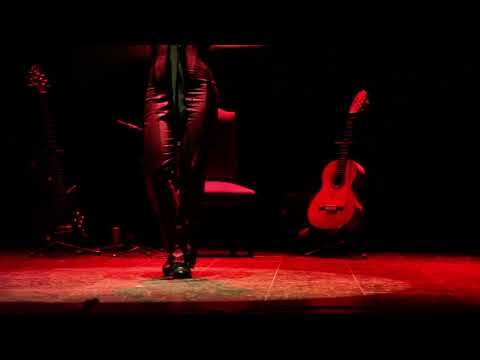 Versatilidad en el Arte Flamenco: Un Viaje a Través de sus Artistas