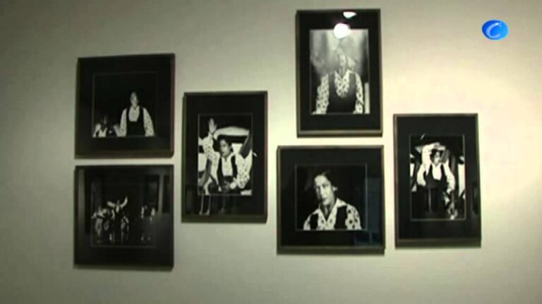 Capturando la Elegancia del Baile Flamenco