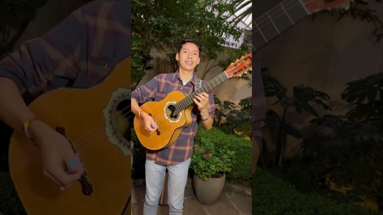 El Sentimiento Espa&ntilde;ol Reflejado en las Cuerdas de la Guitarra