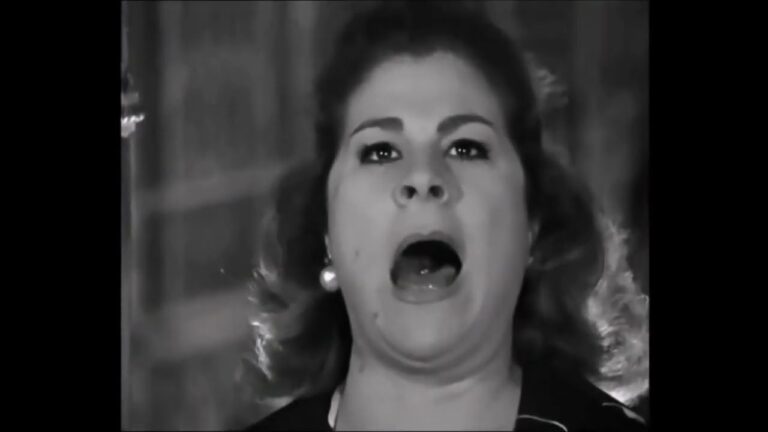 La Contribuci&oacute;n Econ&oacute;mica del Flamenco