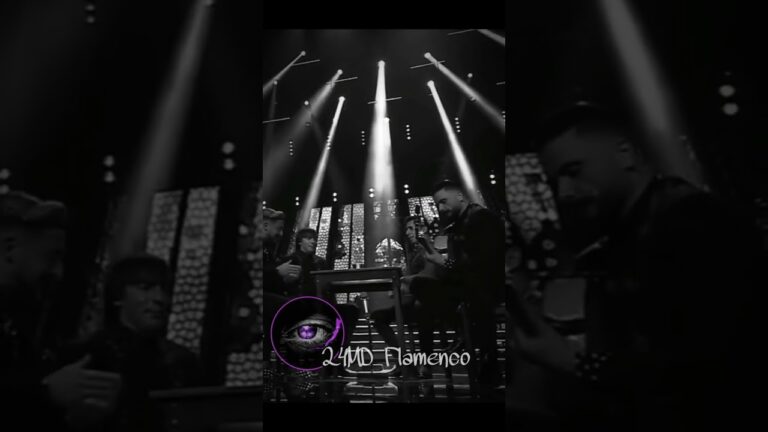 Cautivando Emociones: Fotograf&iacute;a y Flamenco en Armon&iacute;a