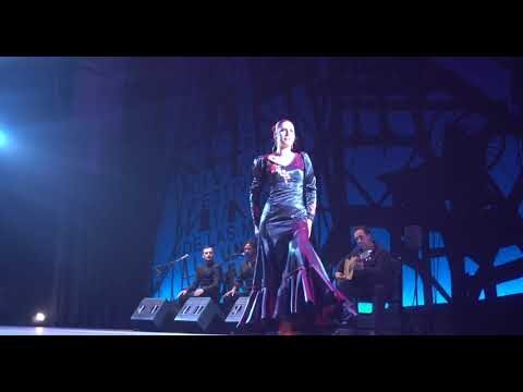 Artistas Flamencos Destacados en Eventos Especiales