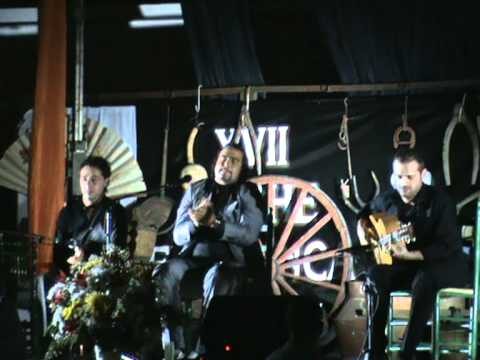 El Encanto Musical de la Zambra Flamenca