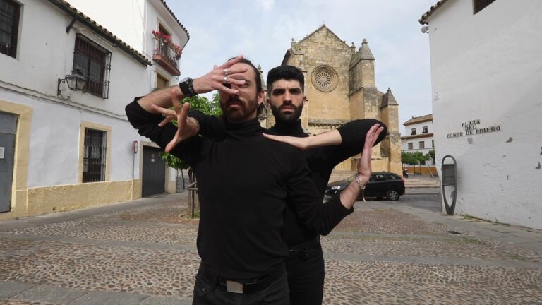 Capturando la Esencia del Flamenco: Inspiraci&oacute;n Fotogr&aacute;fica