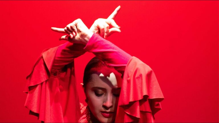 La Influencia del Arte Gitano en la M&uacute;sica Flamenca