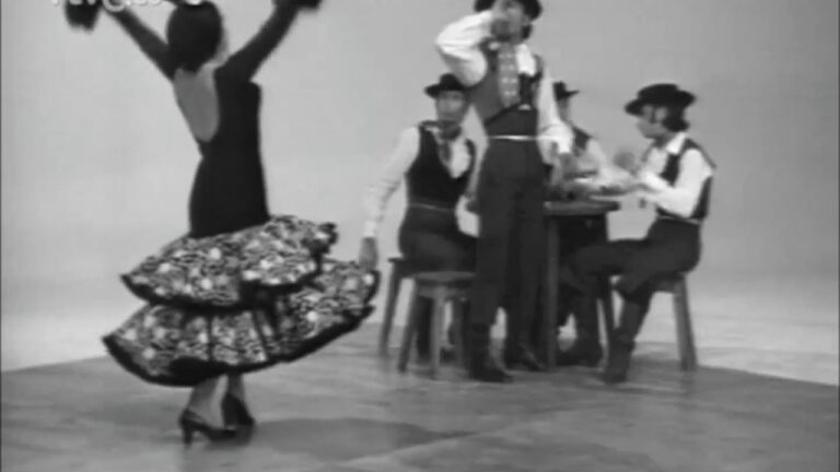 Dominando el Jaleo Flamenco: Una Gu&iacute;a para la Maestr&iacute;a