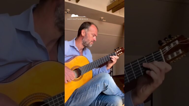 Pasión y Virtuosismo en el Flamenco: Un Arte que Transciende