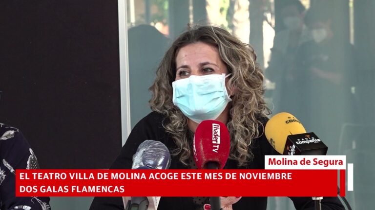 La Presencia Global del Flamenco en Internet