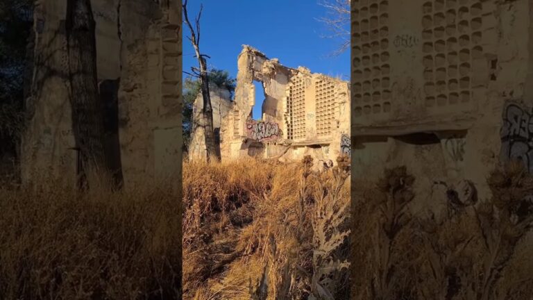 Sentimientos Profundos en el Flamenco y la Poesía