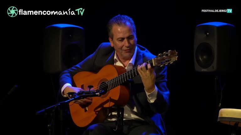 Espectáculos Flamencos en la Televisión: Arte y Pasión en Pantalla