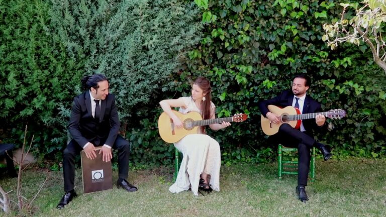 Pasi&oacute;n Flamenca: Impacto en Eventos Internacionales