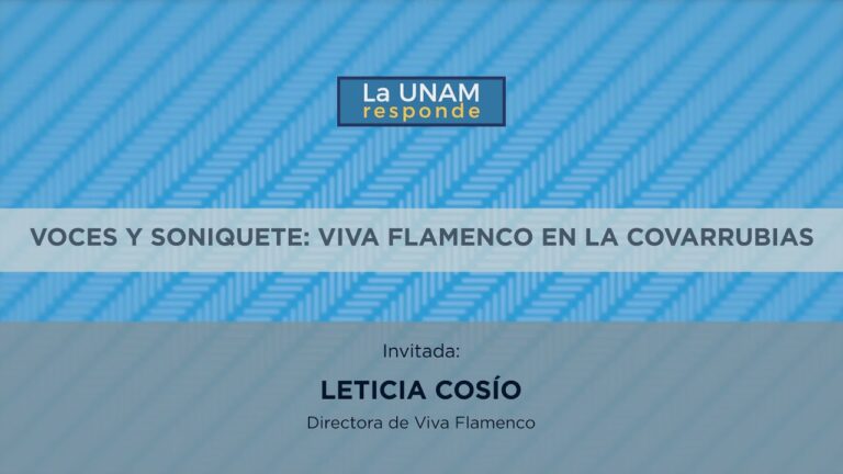 Energ&iacute;a y Pasi&oacute;n: Flamenco y Poes&iacute;a en la Danza