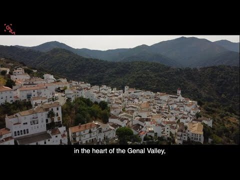 Innovaci&oacute;n Tur&iacute;stica Sostenible a Trav&eacute;s del Flamenco