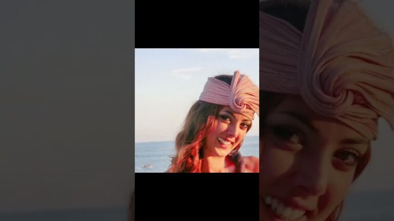 Elegancia y Pasi&oacute;n del Flamenco en la Moda