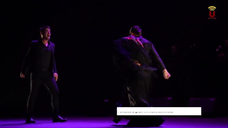 Vibrante Experiencia de Baile y Cante Flamenco