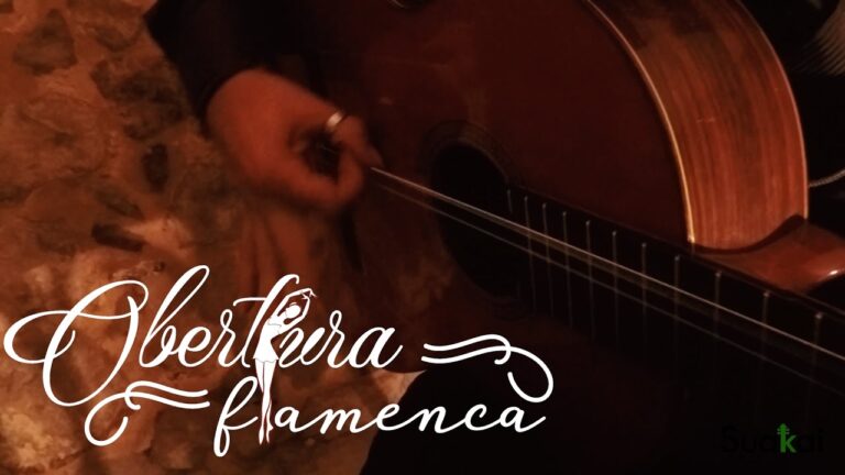 El arte del bailarín flamenco y la magia de la música en vivo