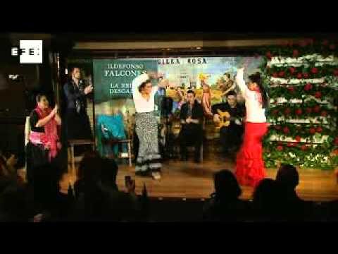 La Pasi&oacute;n Flamenca en la Novela: Un Viaje Emocional