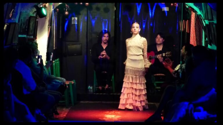 Magia y Energ&iacute;a en el Flamenco: La Esencia de las Actuaciones