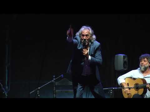 Ra&iacute;ces del Flamenco: Inspiraci&oacute;n en los Artistas Tradicionales