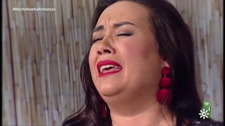 Inmersi&oacute;n en la M&uacute;sica Flamenca a Trav&eacute;s de Instrumentos