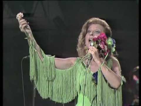 Fuerza y Gracia: La Esencia del Flamenco