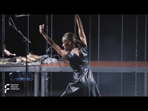 Fusi&oacute;n de Flamenco y M&uacute;sica en Esculturas