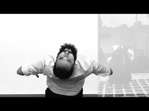 Expresiones Art&iacute;sticas de los Bailaores de Flamenco