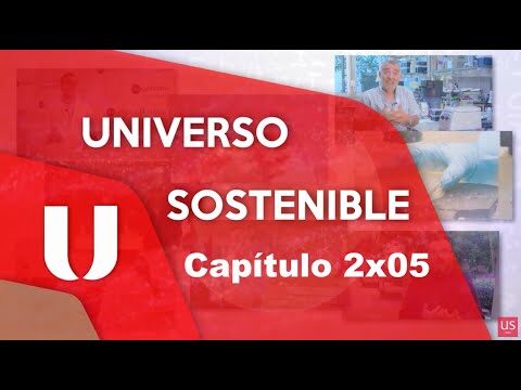 Innovaci&oacute;n Art&iacute;stica en la Historia del Flamenco