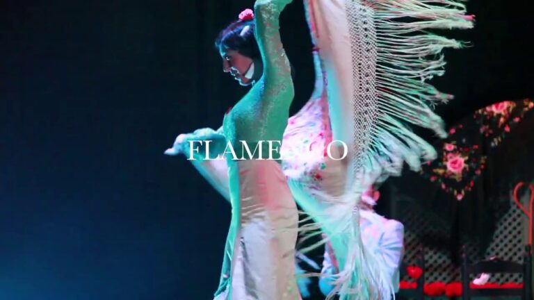 Pasi&oacute;n y T&eacute;cnica en el Cante Flamenco