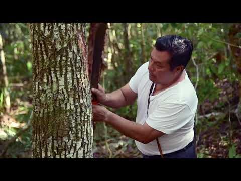Folclore Flamenco en el Turismo de Aventura