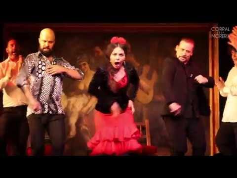 Descubre la Experiencia &Uacute;nica de las Clases de Baile Flamenco