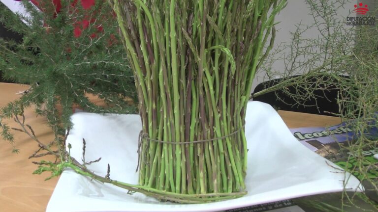 Degustaciones Gourmet con Flamenco: Una Experiencia Sensorial &Uacute;nica