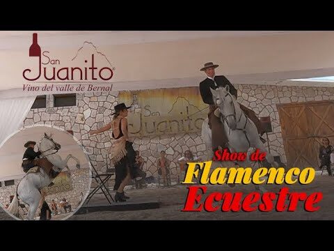Vinos Espa&ntilde;oles y Flamenco: Una Experiencia Cultural Inigualable