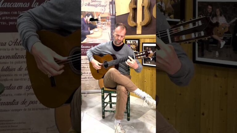 Dominando el Flamenco: Lecciones sobre su T&eacute;cnica