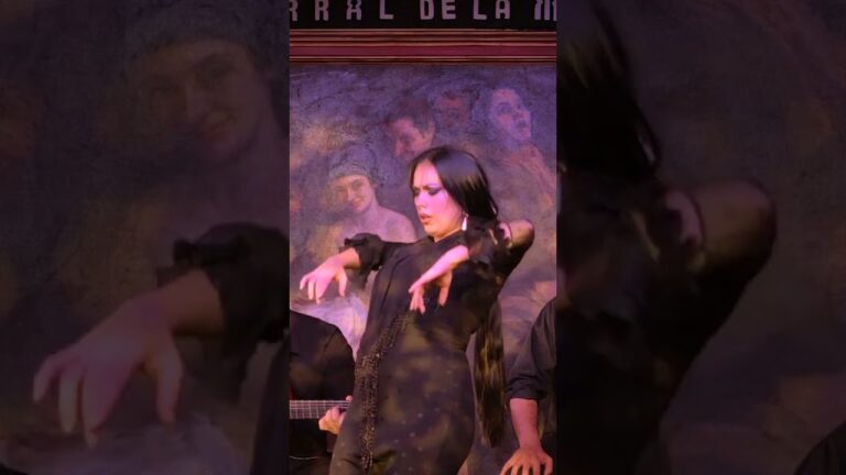 Capturando la Esencia del Flamenco en Vivo