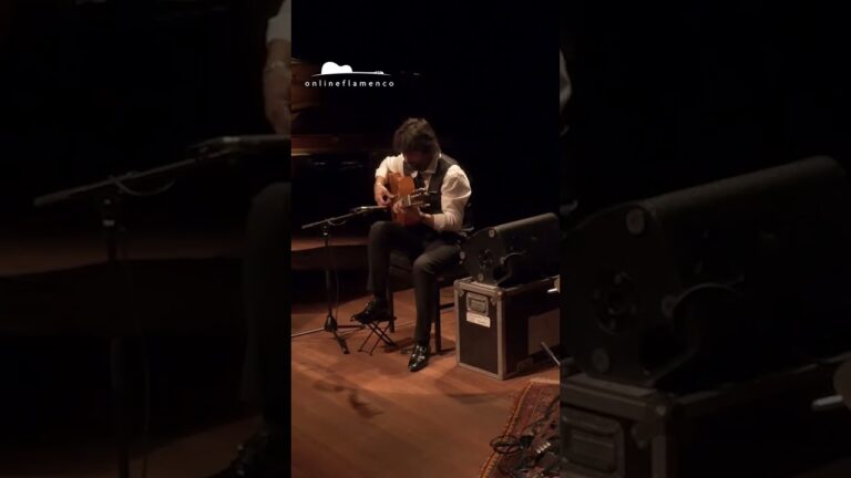 Pasi&oacute;n y Virtuosismo en la Fusi&oacute;n Flamenca