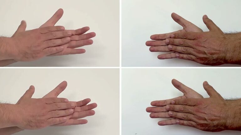 Palmas Flamencas: Un Tesoro Cultural en La Guajira